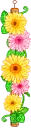 spring flowers