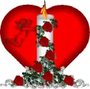 red rose glitter