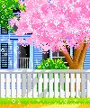 kawaii 