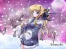 winterair