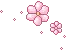 pink flowers