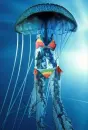 JellyFish Are Sexy
