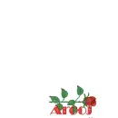 Arooj