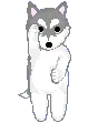 Husky