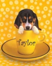 Taylor