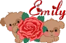 Name