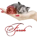 Name
