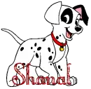 Shanal Dalmation