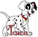 Taira Dalmation