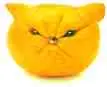 Sour Puss Lemon