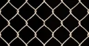 Chain link