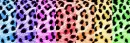 Rainbow animal print