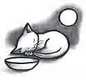 Sleeping Kitty