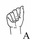 Sign Language