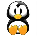 baby penguin