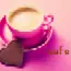 cafe'