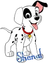 Shanal Dalmation