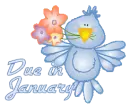 Due in January - Bluebird Fun