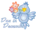 Due in December - Bluebird Fun