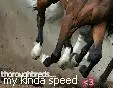 Thoroughbreds-My kinda Speed