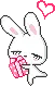 bunny