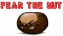 Fear the nut