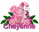 Cheyenne