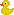 duckie