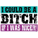 Nicer Bitch