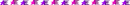 Purple and Pink Stars