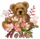 Hello