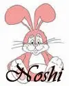 noshi bunny