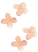 PINK LIL FLOWERS