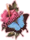 YOLANDA