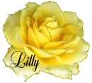 Lilly