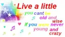 life quote