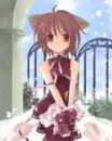 kawaii 