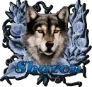 Sharon Wolf