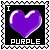i love purple