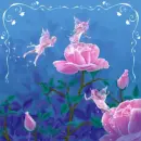 Pink flowers and pink faireys