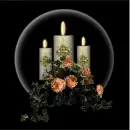 Orange roses and candles