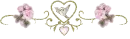 Pink roses with heart and dove divider