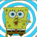 spanchbob