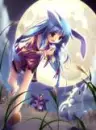 kawaii 