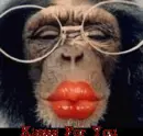 Kisses For You