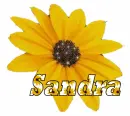SANDRA