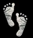 Baby Feet