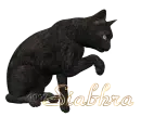 Siabhra