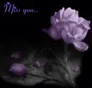 miss you
