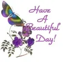 Have a good day with roses and butterfly